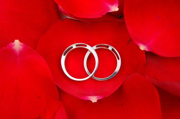 Anelli nuziali in petali di rosa rossa — Foto Stock