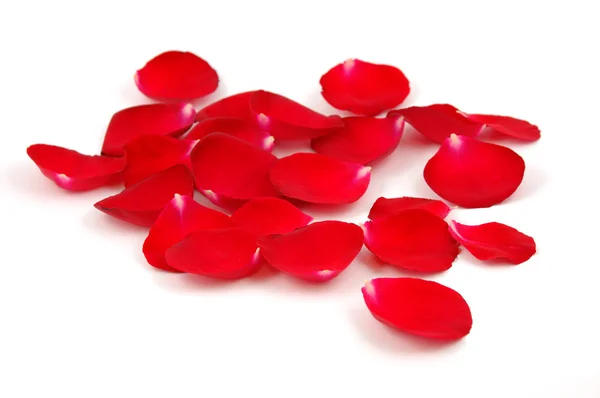 Red rose petals — Stock Photo, Image