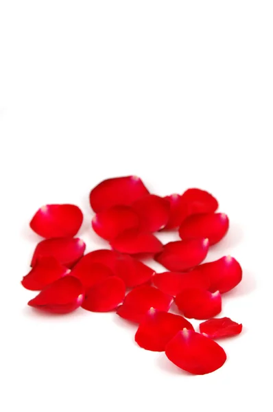 stock image Red rose petals with copyspace