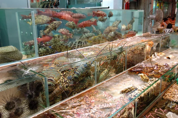 Meeresfrüchte im Tank — Stockfoto