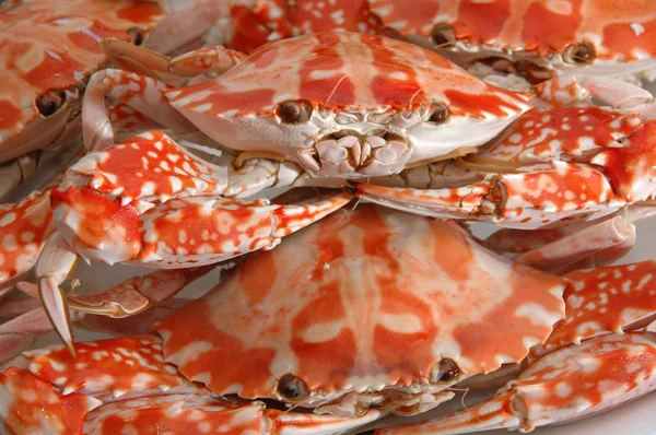 水煮的螃蟹 — 图库照片
