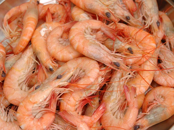 Boiled shrimp — Stock Photo, Image
