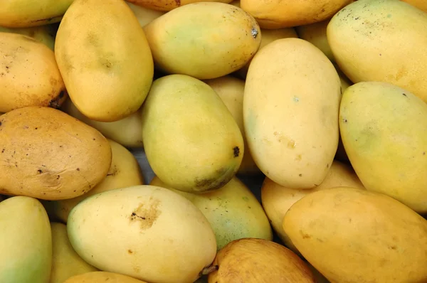 Mango background — Stock Photo, Image