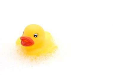 Yellow rubber duck in bubbles