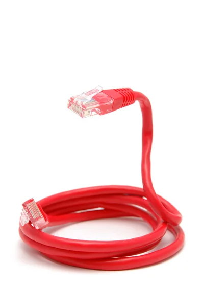 Kabel sieciowy czerwony — Zdjęcie stockowe