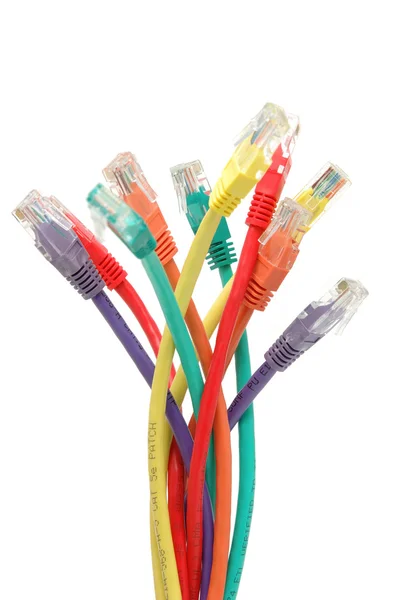 Mehrfarbige Netzwerkkabel — Stockfoto