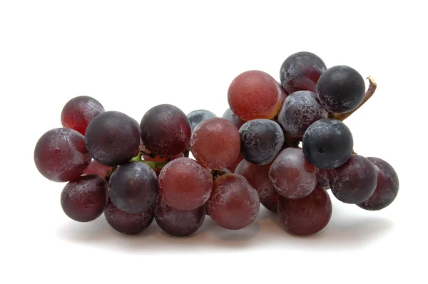 Kyohou winogron — Zdjęcie stockowe