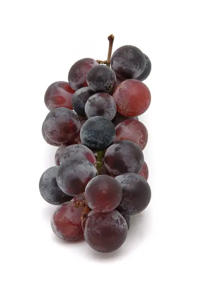 Kyohou винограду — стокове фото