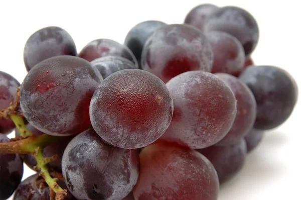 Закрыть кильку винограда — стоковое фото