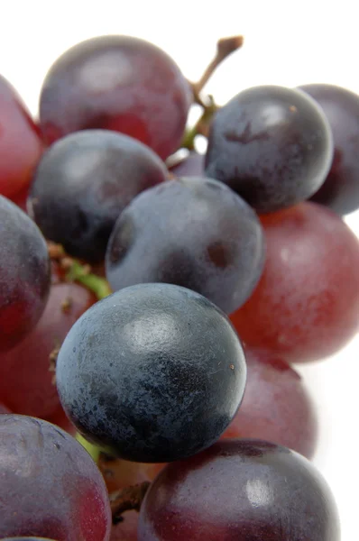 Закрыть кильку винограда — стоковое фото