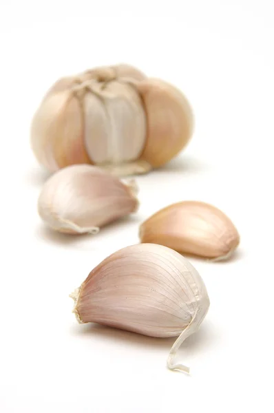 Garlic close up — Stock Photo, Image