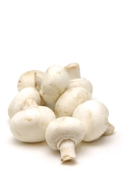 Закрыть пуговицы грибов — стоковое фото