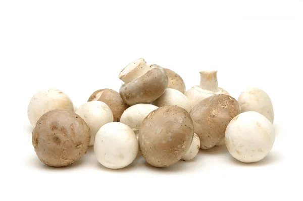 Кнопка и коричневые грибы — стоковое фото