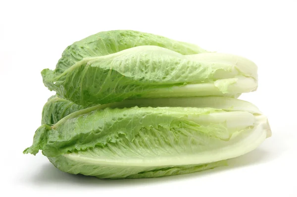 Romaine lettuce — Stock Photo, Image