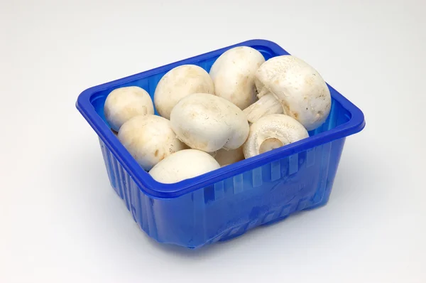 Cogumelos botão na caixa — Fotografia de Stock