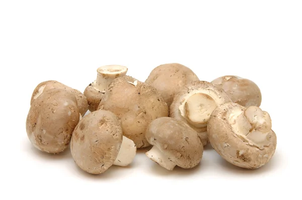 Close-up van bruine champignons — Stockfoto