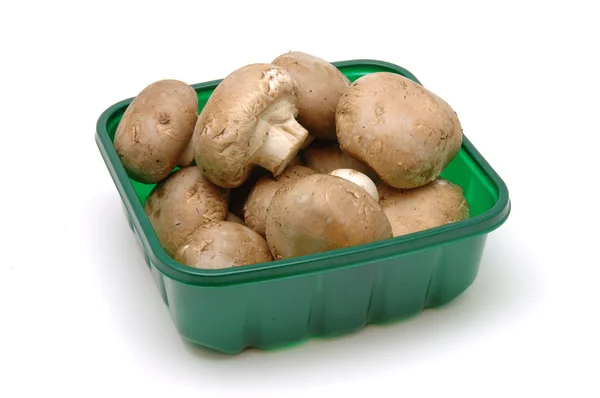 Close-up de cogumelos marrons na caixa — Fotografia de Stock