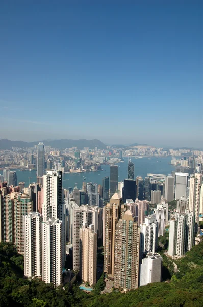 Небесная линия Гонконга — стоковое фото