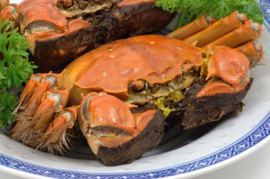 Steamed shanghai crabs clipart
