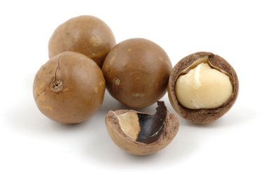 Macadamia fındık