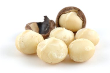 Macadamia fındık