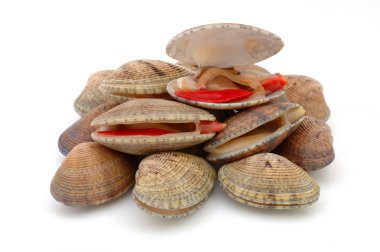 Stack of live clams clipart