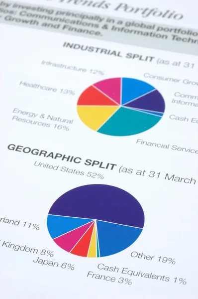 Financial pie chart — Stock Photo, Image