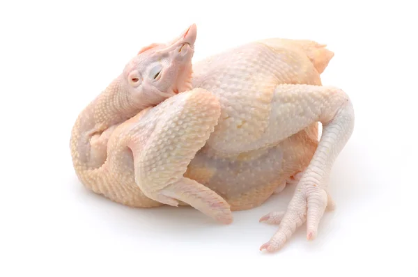 Hela rå kyckling — Stockfoto