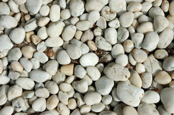 Cobble pierres fond — Photo