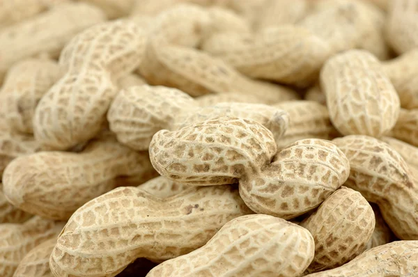 Close up de amendoins sem casca — Fotografia de Stock
