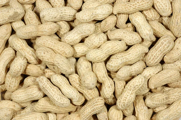 Ungeschälte Erdnüsse — Stockfoto