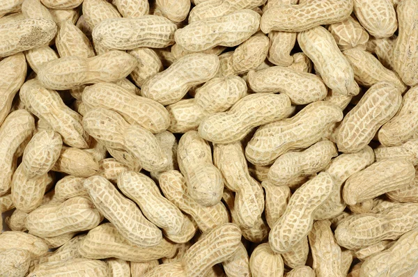 stock image Unshelled peanuts