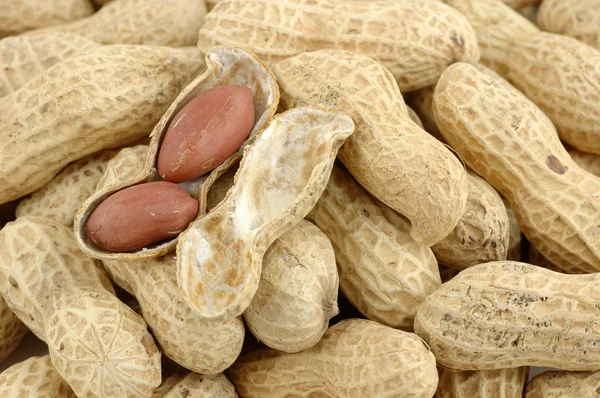Nahaufnahme von Erdnüssen — Stockfoto