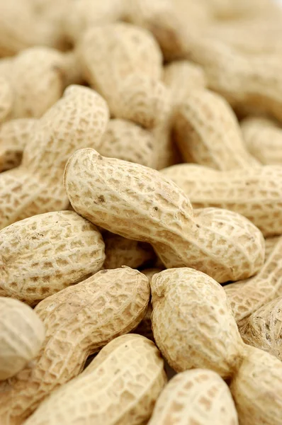 Close up de amendoins sem casca — Fotografia de Stock