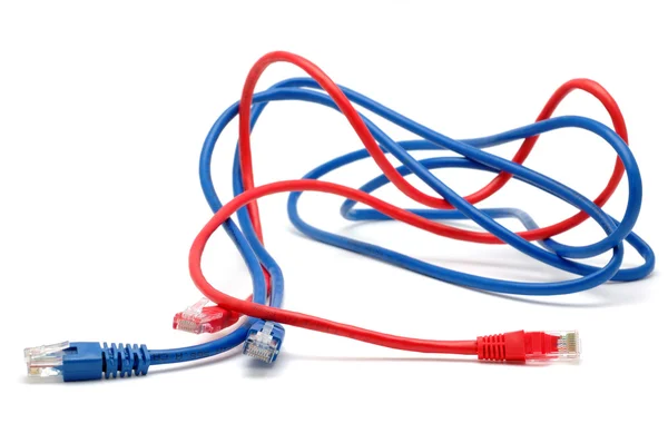Cavi di rete blu e rossi — Foto Stock