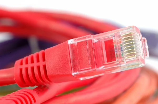 Netwerk kabel stekker — Stockfoto