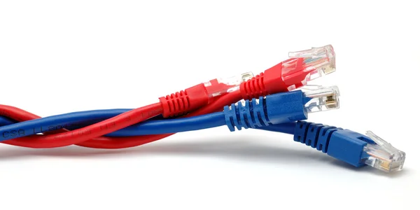 Blue and red network cables — Stock Photo, Image
