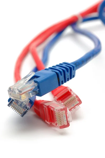 Blauwe en rode netwerk kabel stekkers — Stockfoto