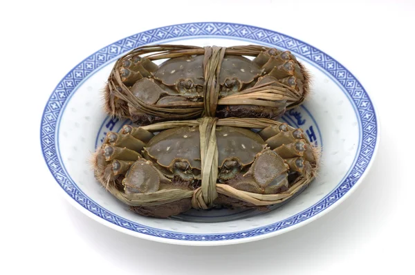 Live shanghai crabs on plate — Stock Photo, Image