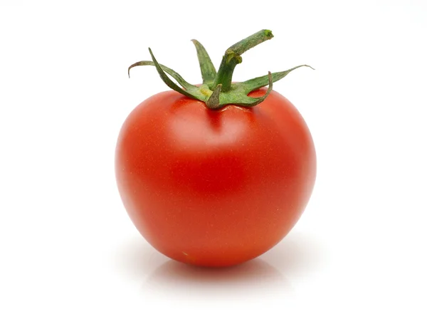 stock image Fresh red tomato