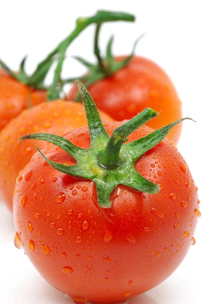 水滴とトマト — ストック写真