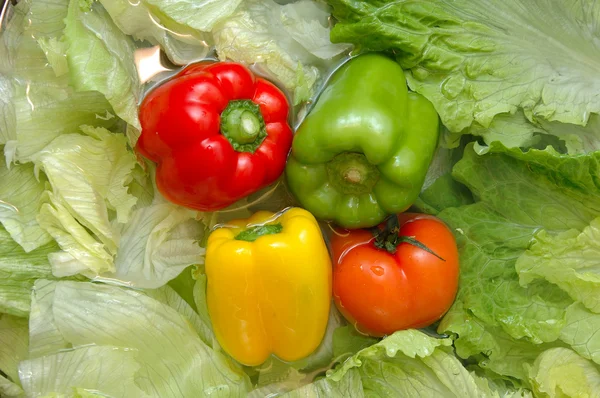 Fresh vegetables — Stock Photo, Image