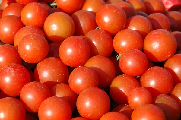 신선 한 버찌 토마토 — 스톡 사진