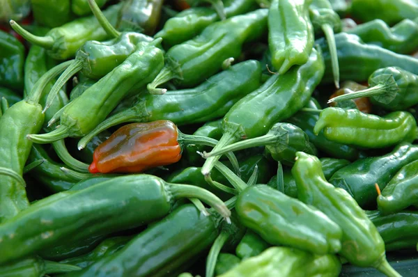 Pimientos verdes de chile —  Fotos de Stock