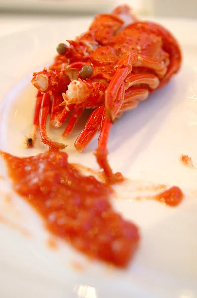 Czerwony homar — Zdjęcie stockowe