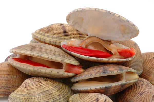 Κοντινό πλάνο μια ανοιγμένα clams — Φωτογραφία Αρχείου