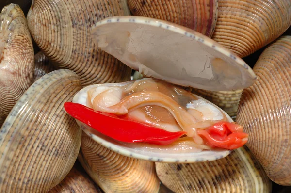 Закрытие открытого моллюска — стоковое фото
