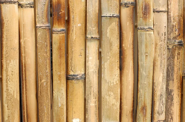 Fondo de bambú —  Fotos de Stock
