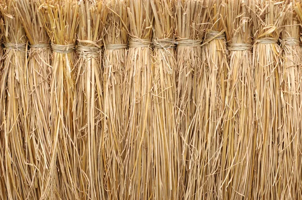 stock image Background of straw