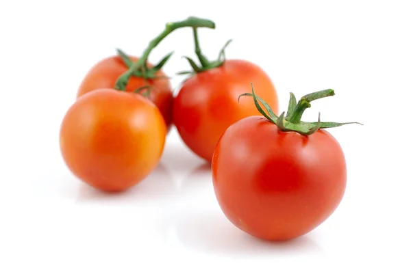 Fresh red tomatoes Royalty Free Stock Photos